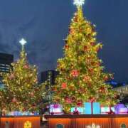 ヒメ日記 2025/12/17 06:35 投稿 りん ふわメロ