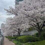 りん NEXT♡♡ ふわメロ