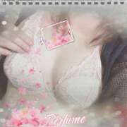 ヒメ日記 2025/11/11 19:08 投稿 まこと 奥鉄オクテツ奈良