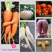 ヒメ日記 2026/03/23 17:13 投稿 まこと 奥鉄オクテツ奈良