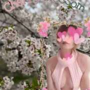 まこと 桜流し 奥鉄オクテツ奈良