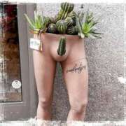 ヒメ日記 2025/02/01 16:53 投稿 まこと 奥鉄オクテツ兵庫