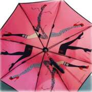 ヒメ日記 2025/03/16 14:10 投稿 まこと 奥鉄オクテツ兵庫