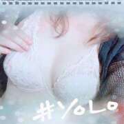 ヒメ日記 2025/04/09 17:40 投稿 まこと 奥鉄オクテツ兵庫