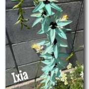 ヒメ日記 2025/05/19 16:37 投稿 まこと 奥鉄オクテツ兵庫