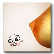 ヒメ日記 2025/11/12 19:39 投稿 まこと 奥鉄オクテツ兵庫