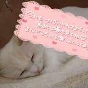 ヒメ日記 2025/01/06 01:20 投稿 みい 所沢東村山ちゃんこ