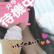 ヒメ日記 2025/01/16 20:13 投稿 みい 所沢東村山ちゃんこ