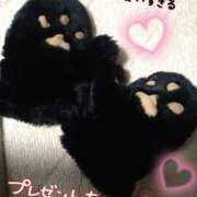 ヒメ日記 2025/01/18 01:39 投稿 みい 所沢東村山ちゃんこ