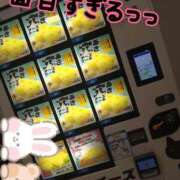 ヒメ日記 2025/02/09 09:29 投稿 みい 所沢東村山ちゃんこ