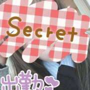 ヒメ日記 2025/02/13 20:21 投稿 みい 所沢東村山ちゃんこ