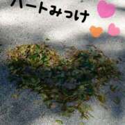 ヒメ日記 2025/02/22 09:12 投稿 みい 所沢東村山ちゃんこ