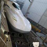 ヒメ日記 2025/03/01 13:00 投稿 みい 所沢東村山ちゃんこ