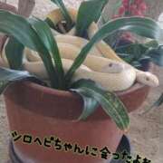 ヒメ日記 2025/03/02 07:14 投稿 みい 所沢東村山ちゃんこ