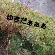 ヒメ日記 2025/03/03 14:31 投稿 みい 所沢東村山ちゃんこ