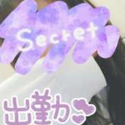 ヒメ日記 2025/03/05 18:31 投稿 みい 所沢東村山ちゃんこ