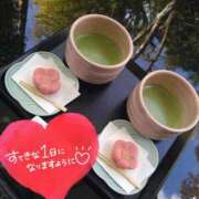 ヒメ日記 2025/03/07 09:41 投稿 みい 所沢東村山ちゃんこ