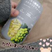 ヒメ日記 2025/03/13 07:00 投稿 みい 所沢東村山ちゃんこ