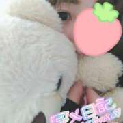 ヒメ日記 2025/03/20 09:06 投稿 みい 所沢東村山ちゃんこ