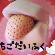 ヒメ日記 2025/03/20 12:24 投稿 みい 所沢東村山ちゃんこ