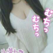 ヒメ日記 2025/04/03 22:07 投稿 みい 所沢東村山ちゃんこ