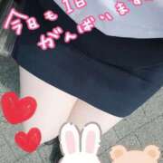 ヒメ日記 2025/04/05 07:57 投稿 みい 所沢東村山ちゃんこ