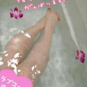 ヒメ日記 2025/04/06 11:17 投稿 みい 所沢東村山ちゃんこ