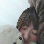 ヒメ日記 2025/04/13 13:26 投稿 みい 所沢東村山ちゃんこ