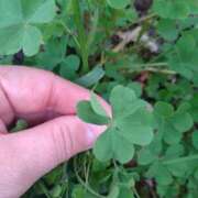 ヒメ日記 2025/04/17 06:48 投稿 みい 所沢東村山ちゃんこ