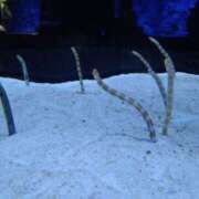 ヒメ日記 2025/04/26 12:52 投稿 みい 所沢東村山ちゃんこ