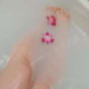 ヒメ日記 2025/04/27 04:52 投稿 みい 所沢東村山ちゃんこ