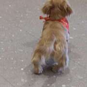 ヒメ日記 2025/05/10 22:11 投稿 みい 所沢東村山ちゃんこ