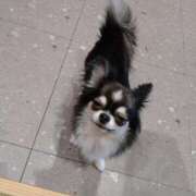 ヒメ日記 2025/05/21 13:04 投稿 みい 所沢東村山ちゃんこ