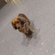 ヒメ日記 2025/05/26 08:50 投稿 みい 所沢東村山ちゃんこ