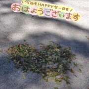 ヒメ日記 2025/06/03 07:25 投稿 みい 所沢東村山ちゃんこ