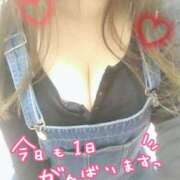 ヒメ日記 2025/06/06 08:17 投稿 みい 所沢東村山ちゃんこ