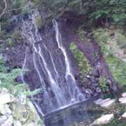 ヒメ日記 2025/06/25 07:53 投稿 みい 所沢東村山ちゃんこ