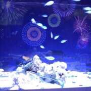 ヒメ日記 2025/07/06 14:01 投稿 みい 所沢東村山ちゃんこ