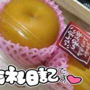 ヒメ日記 2025/09/08 08:23 投稿 みい 所沢東村山ちゃんこ