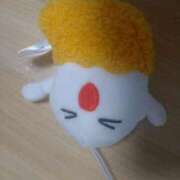 ヒメ日記 2025/09/15 19:01 投稿 みい 所沢東村山ちゃんこ