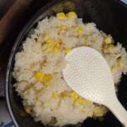 ヒメ日記 2025/09/17 07:03 投稿 みい 所沢東村山ちゃんこ