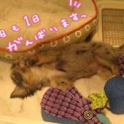 ヒメ日記 2025/10/16 06:47 投稿 みい 所沢東村山ちゃんこ