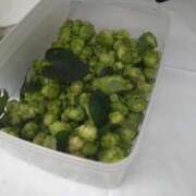 ヒメ日記 2025/10/25 21:15 投稿 みい 所沢東村山ちゃんこ