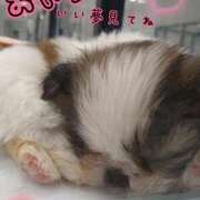 ヒメ日記 2025/10/27 00:00 投稿 みい 所沢東村山ちゃんこ