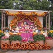 ヒメ日記 2025/11/01 17:36 投稿 みい 所沢東村山ちゃんこ