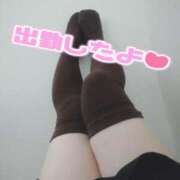 ヒメ日記 2025/11/06 19:42 投稿 みい 所沢東村山ちゃんこ