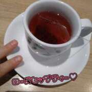 ヒメ日記 2025/11/19 20:00 投稿 みい 所沢東村山ちゃんこ