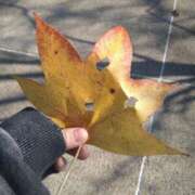 ヒメ日記 2025/11/20 07:00 投稿 みい 所沢東村山ちゃんこ