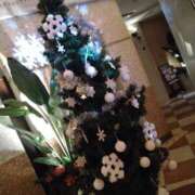 ヒメ日記 2025/12/09 23:31 投稿 みい 所沢東村山ちゃんこ