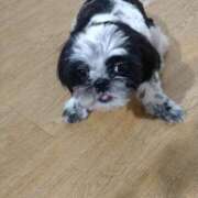 ヒメ日記 2025/12/10 21:29 投稿 みい 所沢東村山ちゃんこ